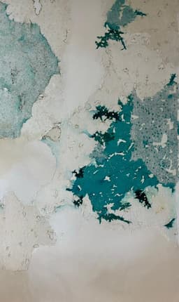 Artist Madhuri Kathe